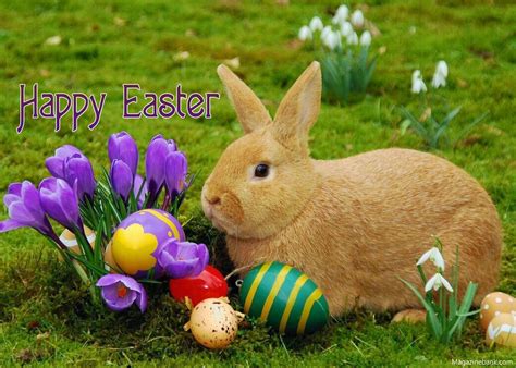 beautiful happy easter images